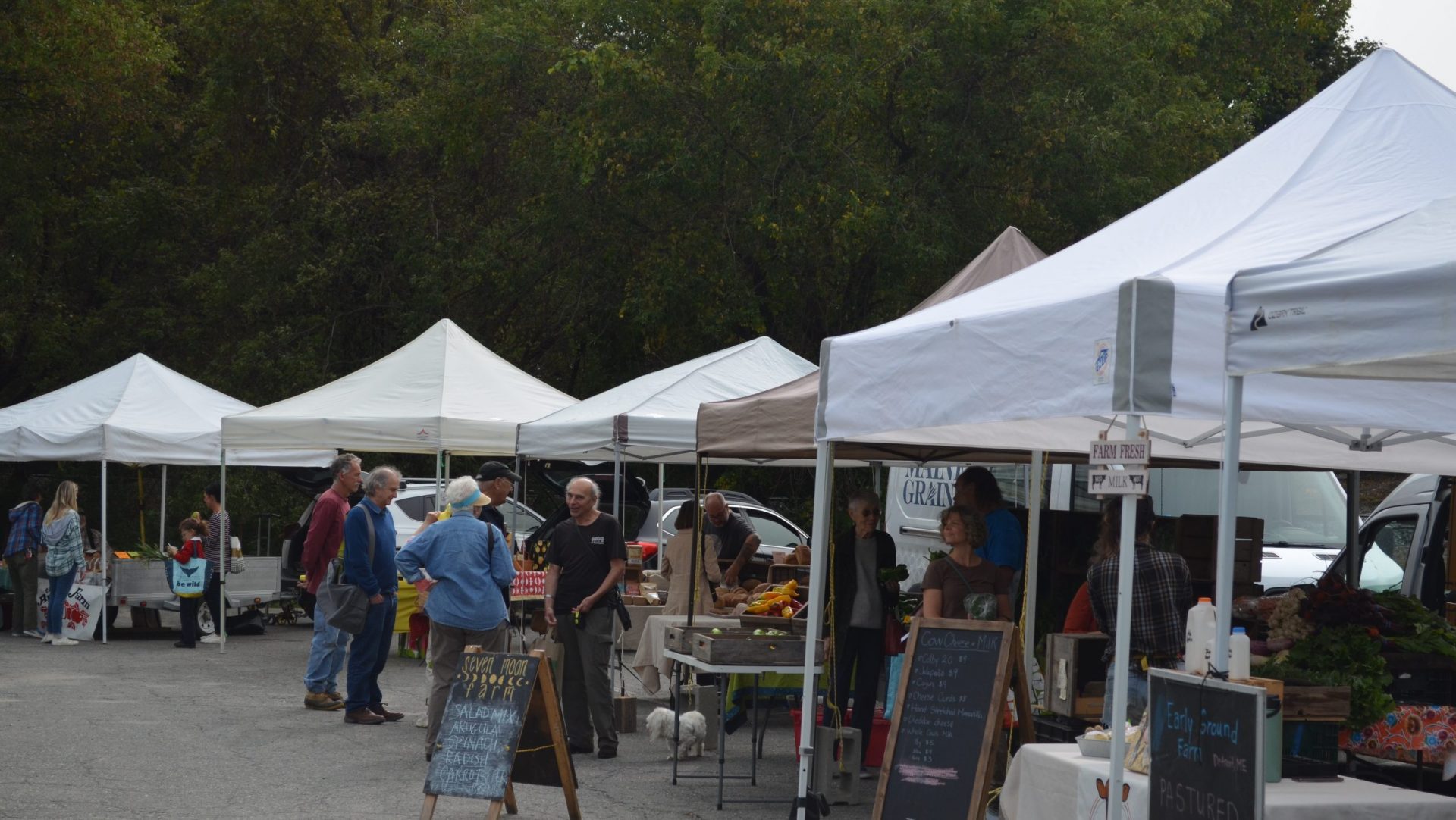 Downtown Waterville Farmers' Market