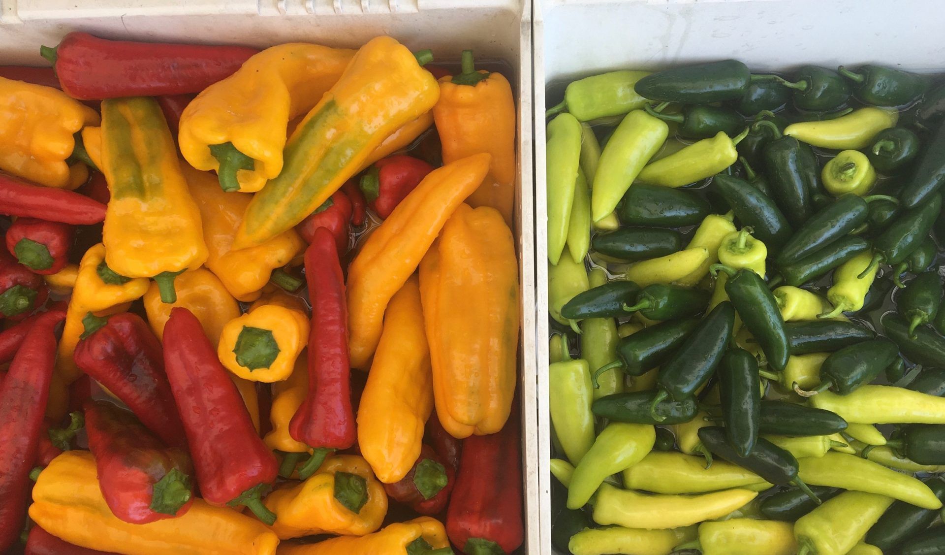 Downtown Waterville Farmers' Market