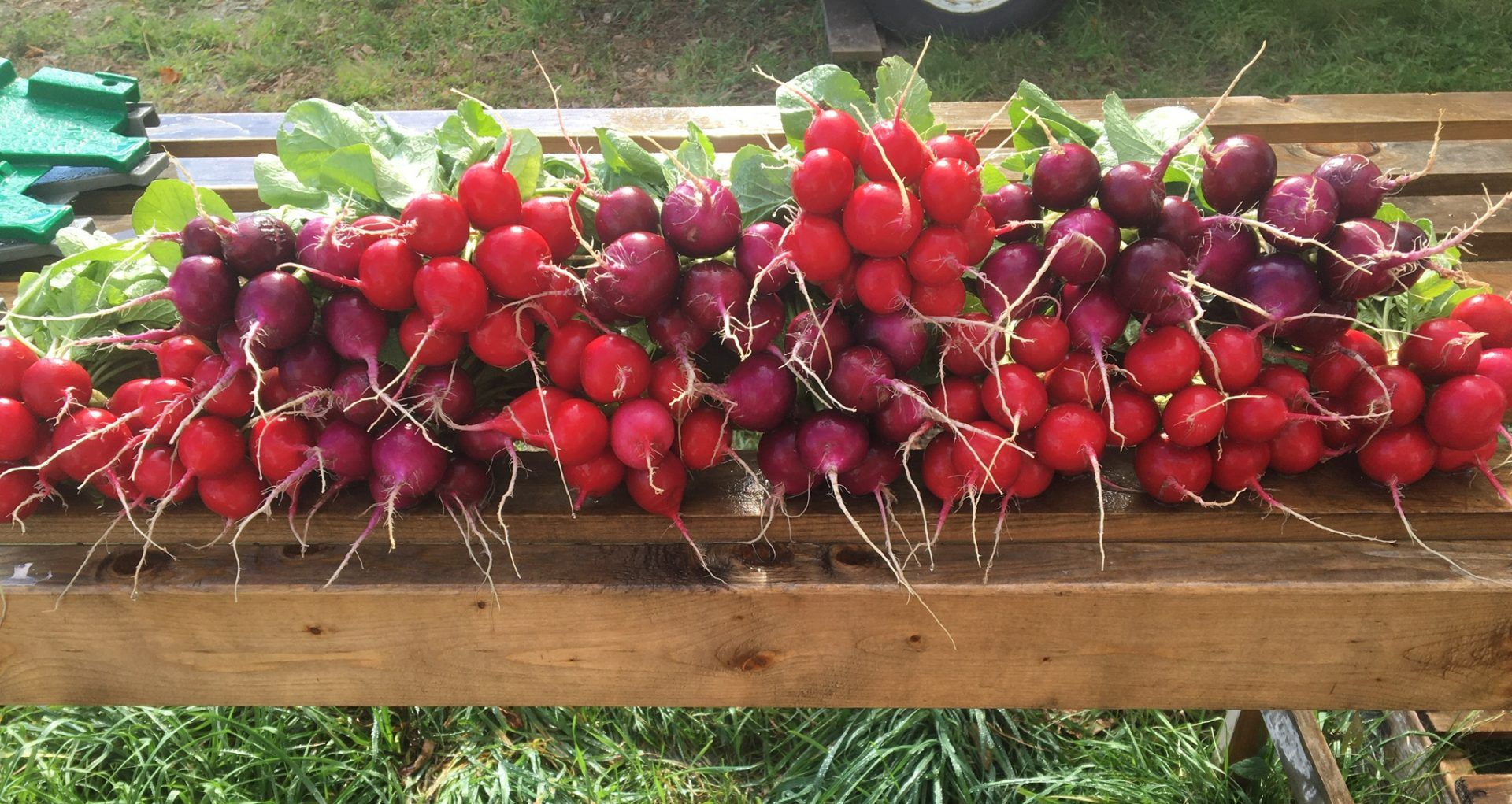 Downtown Waterville Farmers' Market